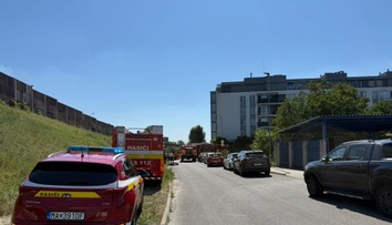 Kriminálny psychológ o tragédii v Ružinove: Priznanie môže byť účelové, hendikep rodičov mohol v rodine spôsobovať ťažkosti