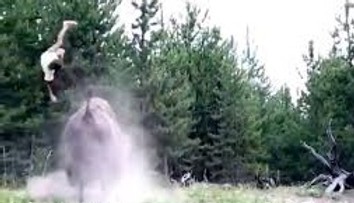 VIDEO: Bizón zaútočil na dievčatko (9). Vyhodil ju do vzduchu ako nič
