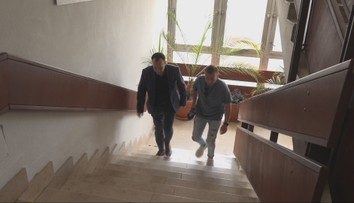 Nenápadný zvyk, ktorý rozhoduje o zdraví: Schody môžu byť kľúčom k dlhšiemu životu