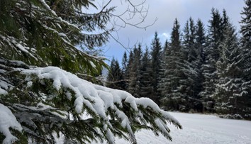 Slovensko čaká mrazivá noc. Teploty môžu klesnúť až k mínus 20 stupňom