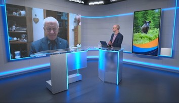 Africký mor ošípaných je hrozbou pre slovenské chovy. Je konzumácia bravčového mäsa bezpečná?