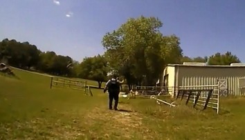 VIDEO: Policajti si mysleli, že zachraňujú človeka. Keď našli zdroj volania, museli sa smiať