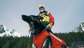 Priateľstvo človeka a psa až do posledného výdychu. Dvojica sa preslávila záchranami mnohých životov