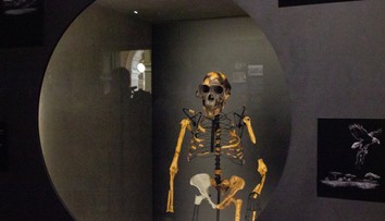 FOTO: V Prahe vystavili najslávnejšie fosílie sveta. „Prateta ľudstva“ je v Európe prvýkrát