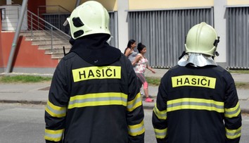 V Snine privalili konáre spadnutého stromu 15-ročného chlapca