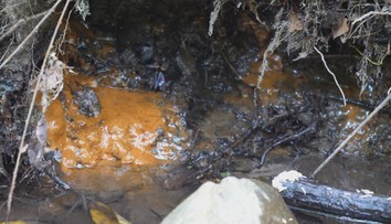 Záhada vo Vinnom. Do potoka vteká neznáma látka, podozrenia sa nepotvrdili