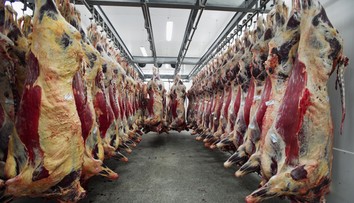 Po škandále s mäsom pristúpilo Poľsko k ráznemu kroku