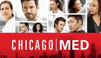 Markizácke hviezdy v hollywoodskom trháku: Pozrite sa, ako im to išlo