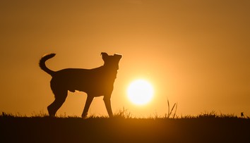 Čaká nás najdlhší deň v roku. Žiaľ, už zajtra sa začnú dni skracovať