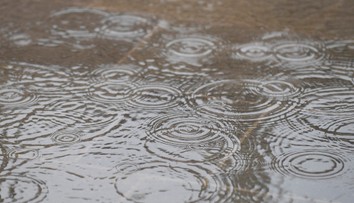 Poľadovica, dážď, hmla aj silný vietor. Meteorológovia vydali viaceré výstrahy