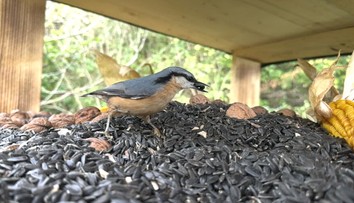 Jedinečná jedáleň nie len pre operencov. Stravníkov v nej môžete sledovať priamo počas hodovania
