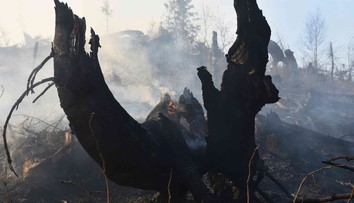 Výročie havárie DC-3: Letenka do Košíc na vlastnú svadbu sa jej stala osudnou