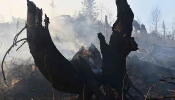 Výročie havárie DC-3: Letenka do Košíc na vlastnú svadbu sa jej stala osudnou