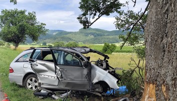 Tragická nehoda pri Turčianskych Tepliciach. Vodič náraz do stromu neprežil