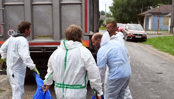 Po roku sa opäť objavil africký mor ošípaných v domácom chove