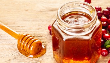 Vzácny „šialený“ med, ktorý navodí eufóriu, ale môže aj zabíjať. Kilogram stojí neuveriteľnú sumu