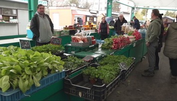 Príchod jari vidno aj na mestských tržniciach. Ľudí už láka čerstvá zelenina či kvety