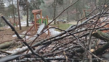 Zničené sú výbehy, ploty aj zázemie. Košická ZOO sa spamätáva zo smršte