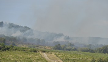 V bratislavských vinohradoch horelo. Evakuovali 20 ľudí