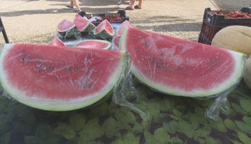 Ak ste si kúpili slovenský melón, zrejme vás oklamali. Krajina pôvodu však nie je to najdôležitejšie
