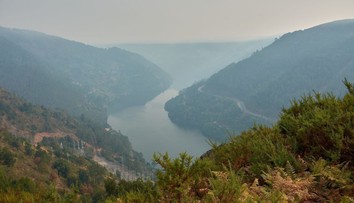 Znečistený vzduch dýcha na svete väčšina ľudí. Limity splnili iba tri európske krajiny