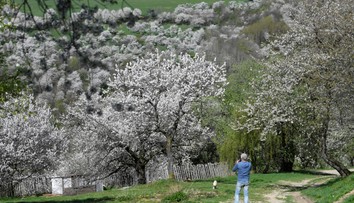 Všetci tam chcú fotku. Slovenskú obec so 60 obyvateľmi navštevujú tisíce turistov