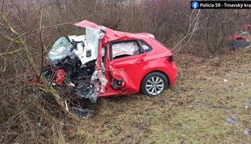 Mladá vodička sa nestihla zaradiť po predbiehaní. Čelnú zrážku s kamiónom neprežila