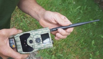 Prichytený pytliak chcel zničiť fotopascu. Veľmi mu to ale nepomohlo