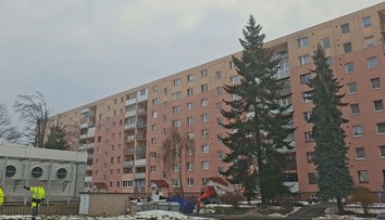 Mali skrášľovať sídliská, ale už sú z nich obry. Gigantické stromy ohrozujú autá, bytovky aj ľudí