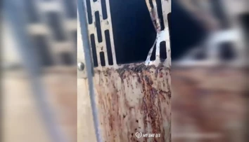 My sme les zverejnil znepokojivé video odchytového zariadenia pre medvede, všade bola krv
