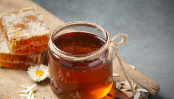 Včelár prezradil najhoršie miesto na skladovanie medu. Je priamo vo vašej kuchyni