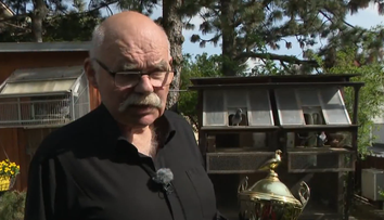 Tvrdí, že chovateľstvo je vysoko návykové a skvelá psychohygiena. Peter Vačok sa chovu holubov venuje celý život