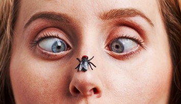 Jednoduchý trik, ako vybabrať s dotieravými muchami. Vhodným umiestneným týchto rastlín sa ich zbavíte raz-dva