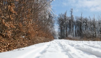 Vyhliadka do Vianoc nepoteší: Počasie sa drží na rovnakej vlne