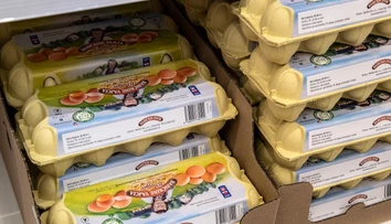Najväčšie reťazce sa zaviazali skončiť s predajom vajec z klietkového chovu. Ako sa im v tom darí?