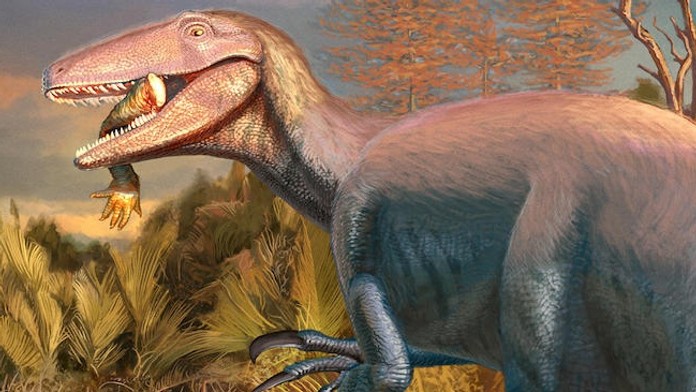 Mimoriadne obratný vrcholový predátor. Nový druh dinosaura by bol ideálnym záporákom vo filmovej sérii Jurský park