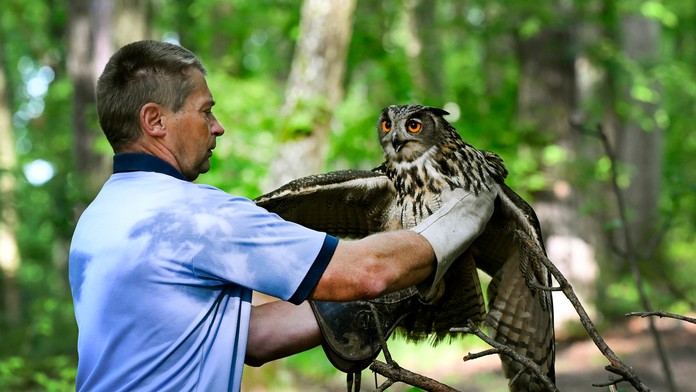 Ilustračná snímka.