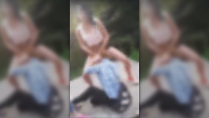 Nechutný prípad zachytili na videu.