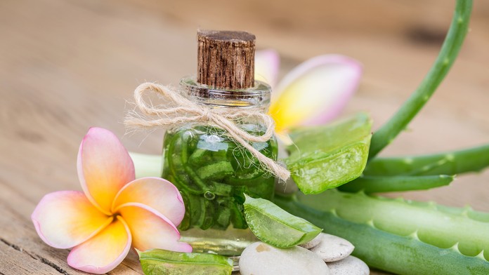 Aloe vera