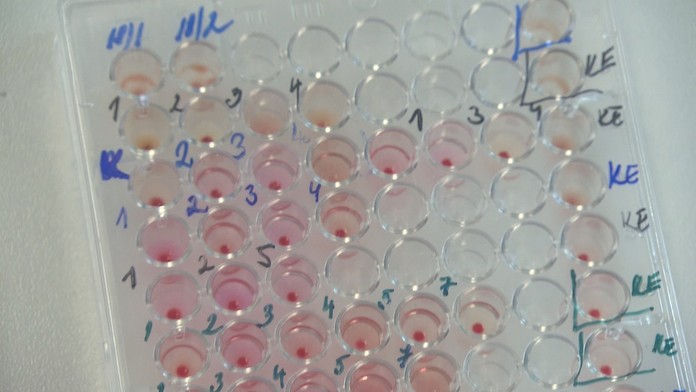 Ilustračná snímka.