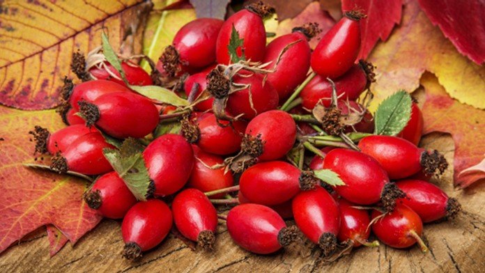 Šípky - ilustračná snímka - 3