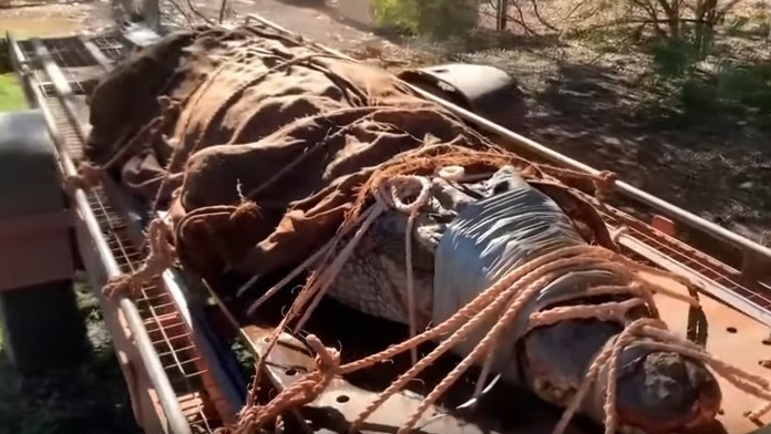 Policajti pacifikujú mladíka