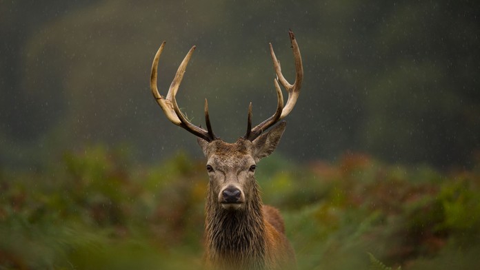 Ilustračná snímka.