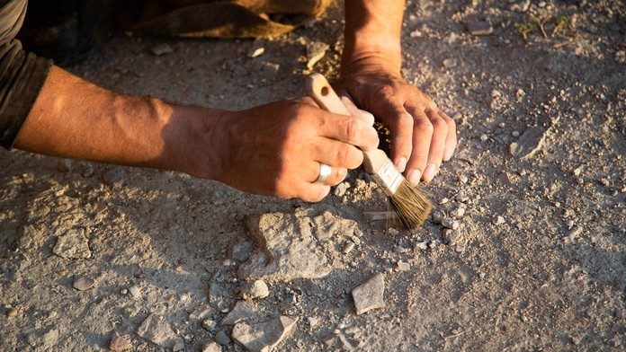 Vedci zrekonštruovali podobu najstaršieho známeho predka človeka. Štvoroké čudo objavili v Číne
