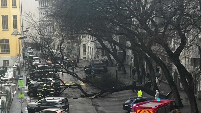 FOTO: V centre Bratislavy spadol obrovský strom. Zablokoval ulicu a poškodil autá