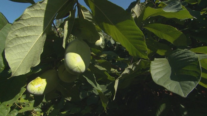 Rodičia majú poslednú možnosť, aby prihlásili dieťa na krúžok za štátne peniaze