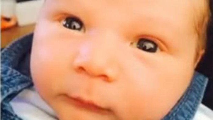 Trojtýždňového chlapčeka zabil pes.