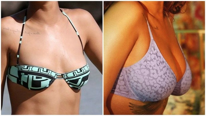 Psík, ktorého ktosi vyhodil na smetisko a nechal napospas osudu. 