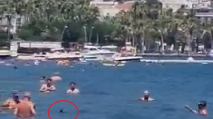 VIDEO: Po Egypte sa objavil žralok aj na pláži v Turecku. Dvaja turisti ho ubili mopom