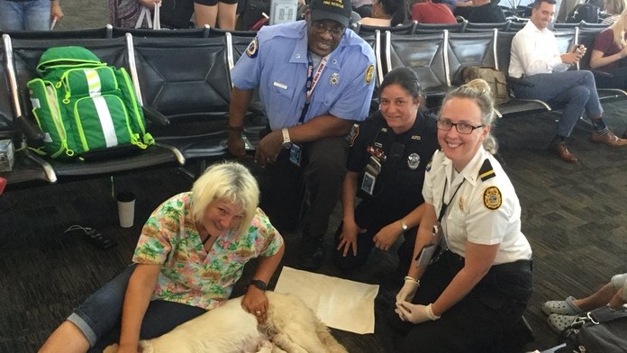 Labradorka porodila na letisku na Floride